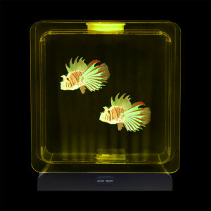 Sensorische Aquarium – 2 tropische vissen - vierkant - Antistress